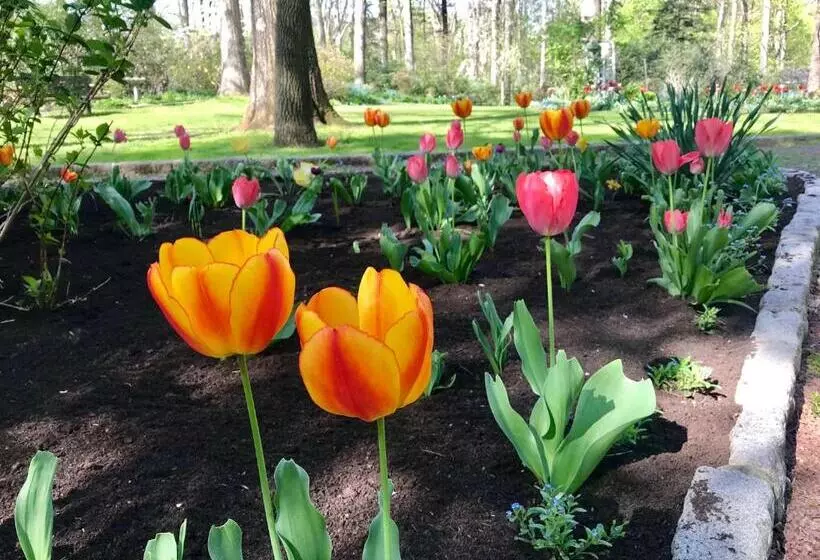 Отель Gramercy Mansion