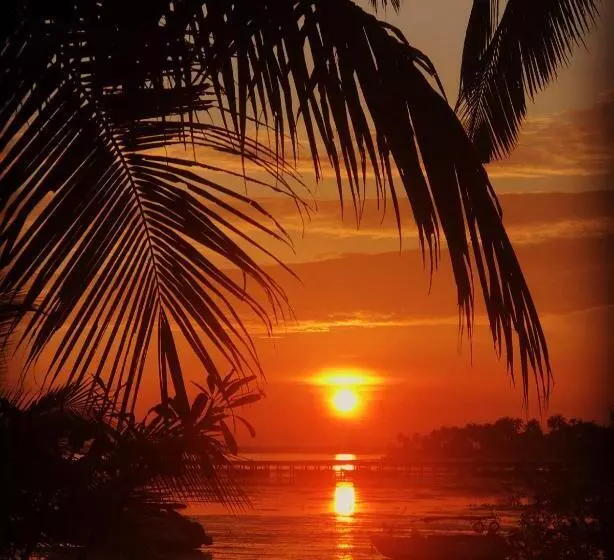 استراحتگاه Inhale @ Hill