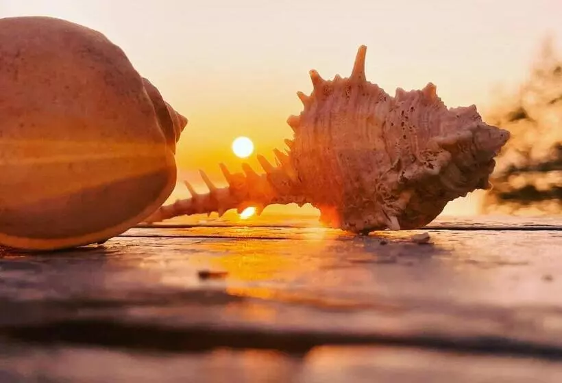 استراحتگاه Inhale @ Hill