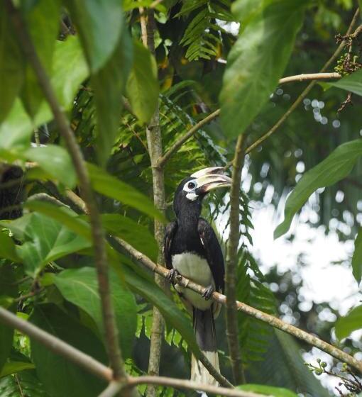 Resort Inhale @ Hill