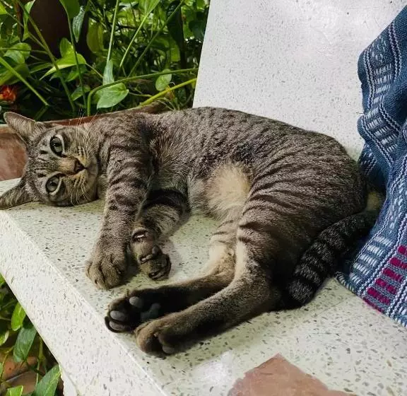 پانسیون Banthai Guesthouse