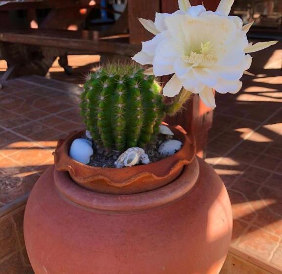 פנסיון Banthai Guesthouse