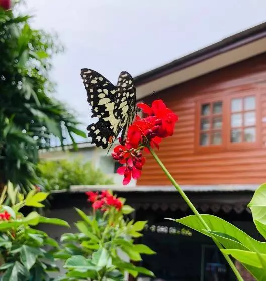 پانسیون Banthai Guesthouse