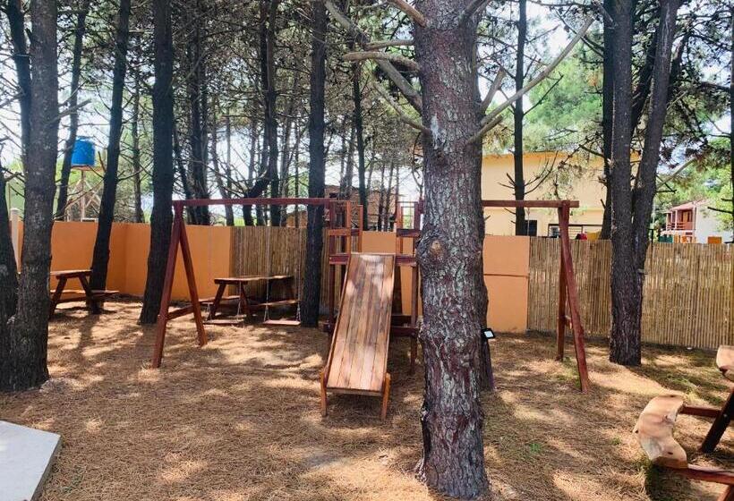 Departamentos Le Forêt