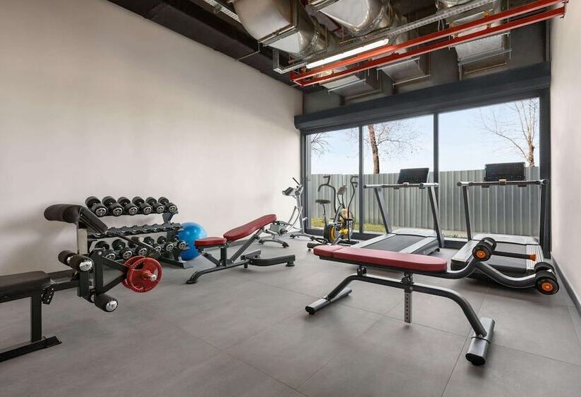 Otel Tryp By Wyndham Istanbul Topkapi