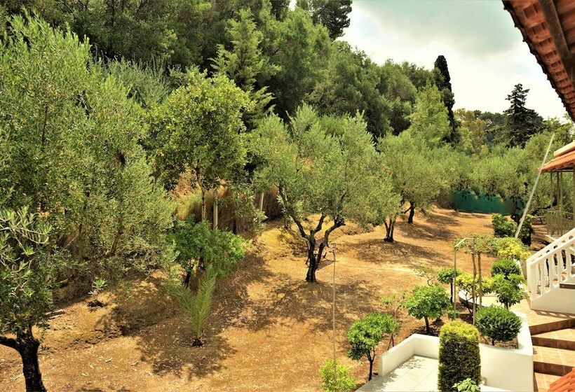 پانسیون Petros Giatras   Rooms