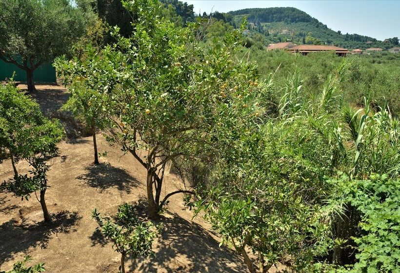 پانسیون Petros Giatras   Rooms