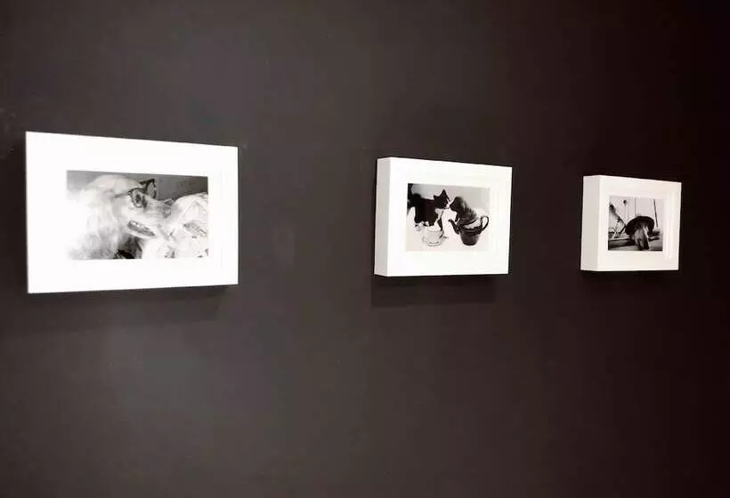 Uribarri En El Corazon By Urban Hosts