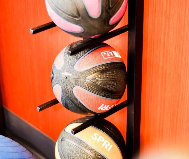 Hotel Hampton Inn Carrollton