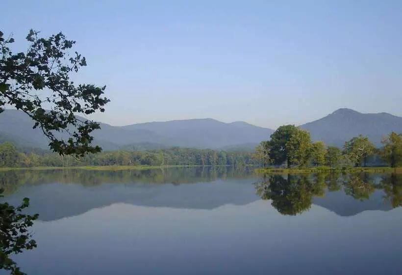 酒店 Hampton Inn Caryvillei75/cove Lakestate Park