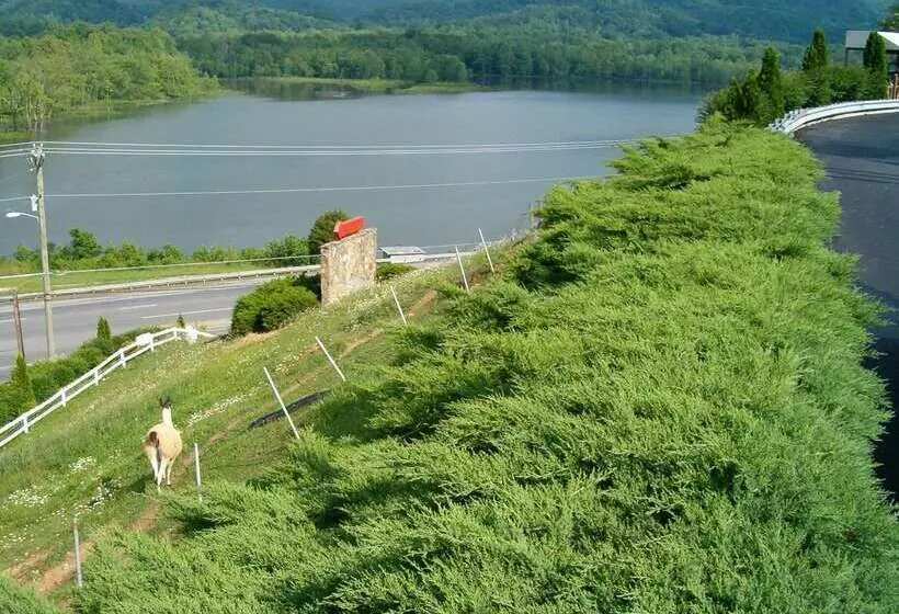 酒店 Hampton Inn Caryvillei75/cove Lakestate Park