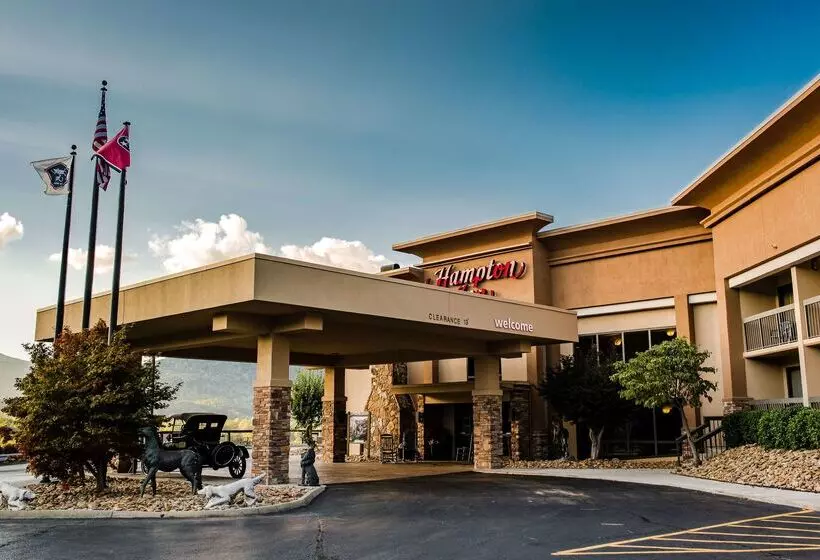 酒店 Hampton Inn Caryvillei75/cove Lakestate Park