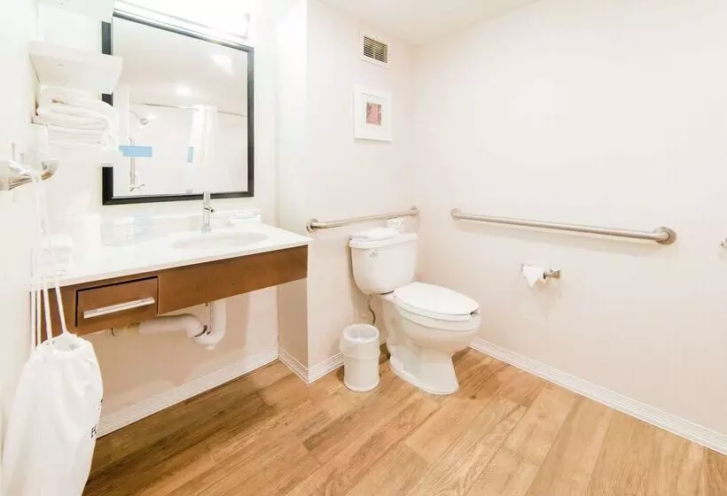 酒店 Hampton Inn Caryvillei75/cove Lakestate Park