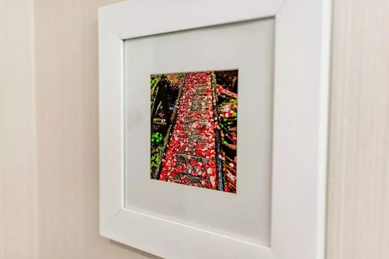 酒店 Hampton Inn Caryvillei75/cove Lakestate Park