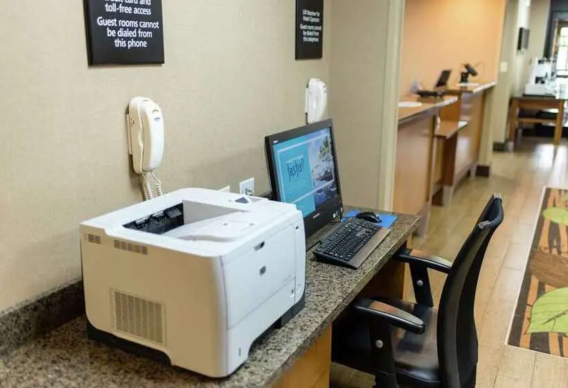 ホテル Hampton Inn Caryvillei75/cove Lakestate Park