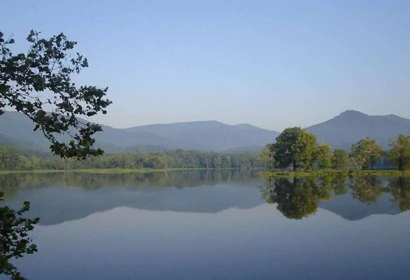 ホテル Hampton Inn Caryvillei75/cove Lakestate Park