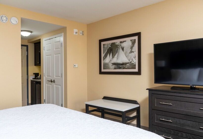 Отель Hampton Inn Holland