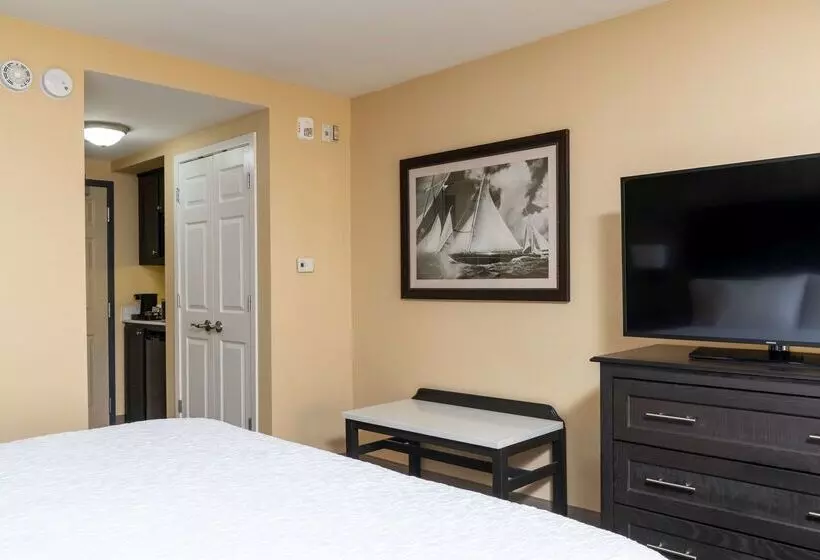 Отель Hampton Inn Holland