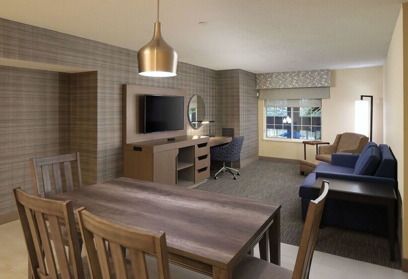 Отель Hampton Inn Holland