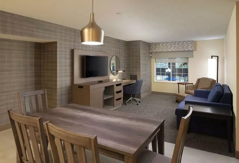 Отель Hampton Inn Holland