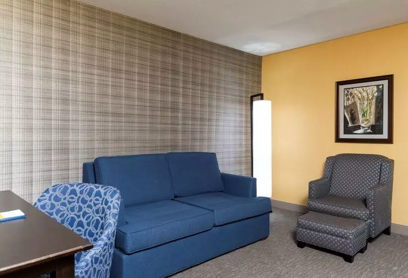 Отель Hampton Inn Holland