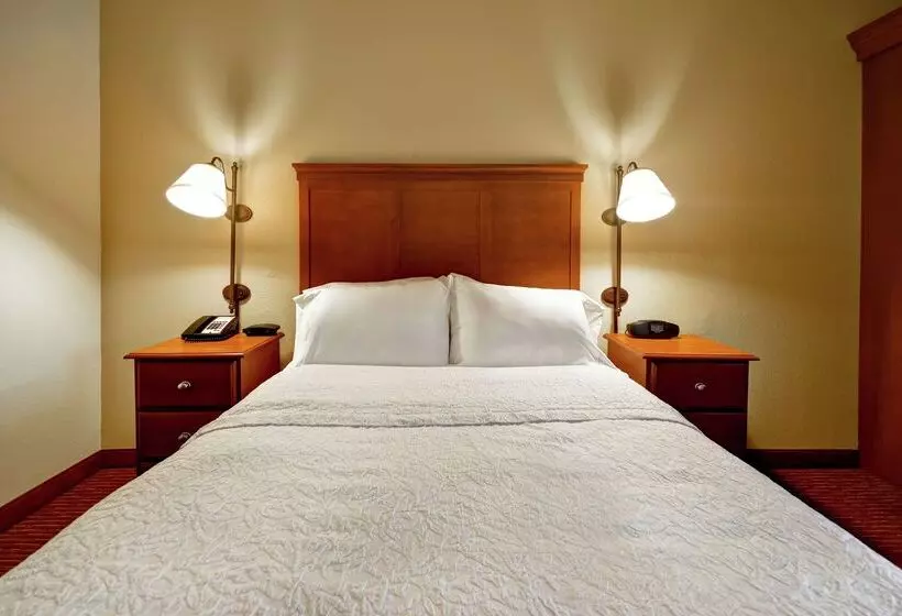 ホテル Hampton Inn Louisvilleairport