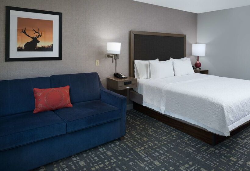 فندق Hampton Inn North Sioux City