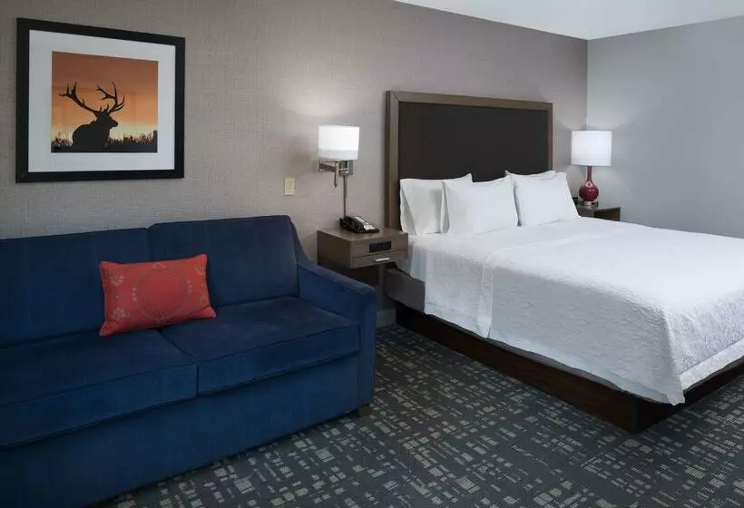 هتل Hampton Inn North Sioux City