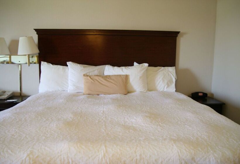 酒店 Hampton Inn Selinsgrove/shamokin Dam