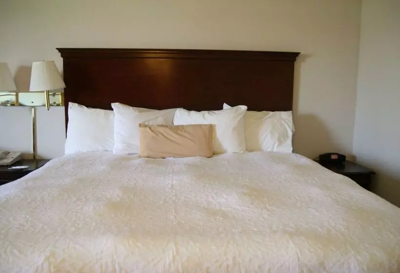 酒店 Hampton Inn Selinsgrove/shamokin Dam