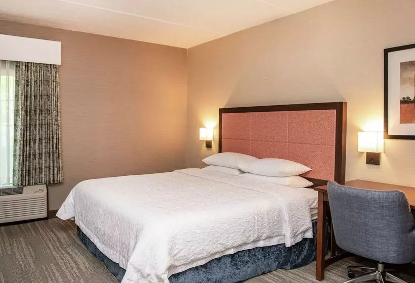 ホテル Hampton Inn & Suites Rochester/victor