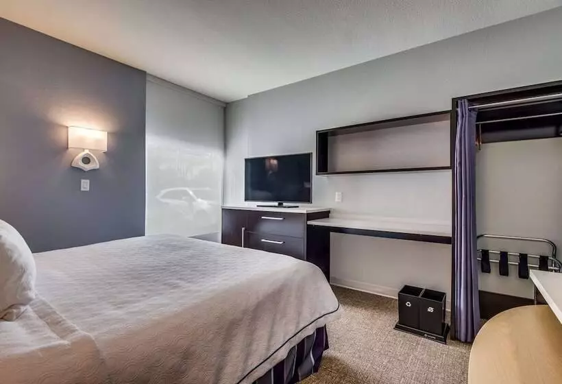 酒店 Home2 Suites By Hilton Dfw Airport South/irving, Tx