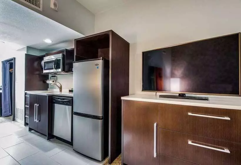 酒店 Home2 Suites By Hilton Dfw Airport South/irving, Tx