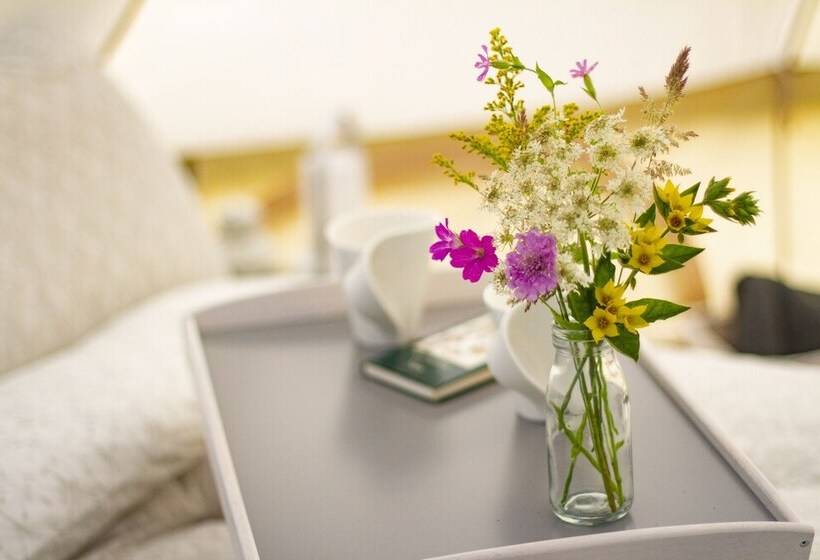 Hotel Lloyds Meadow Glamping Delamere Chester