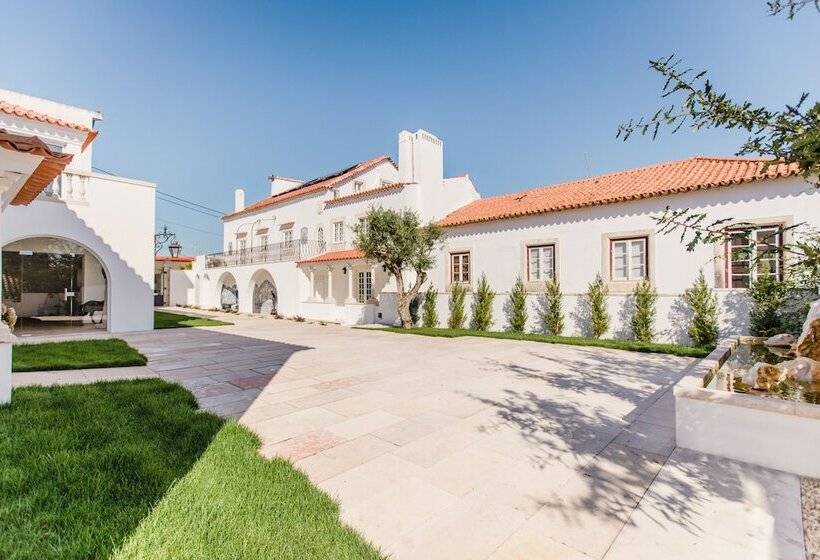 تختخواب و صبحانه Sra Da Oliveira Solar Heritage