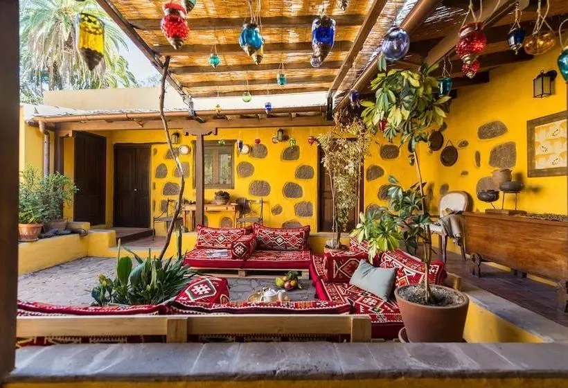 Bohemian Hideaway Finca Exotic Retreat
