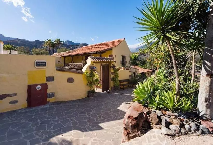 Bohemian Hideaway Finca Exotic Retreat