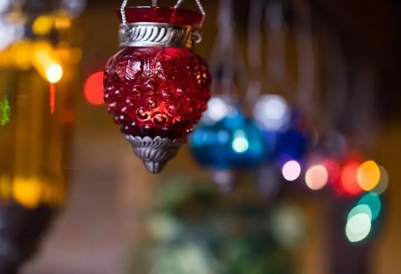 Bohemian Hideaway Finca Exotic Retreat