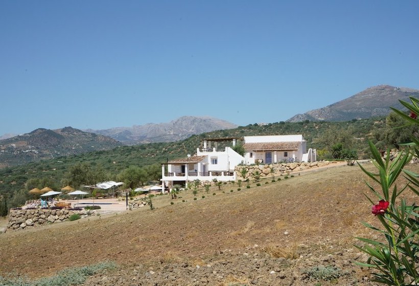Пансион Finca Zayas Casa Rural & Guest Suites