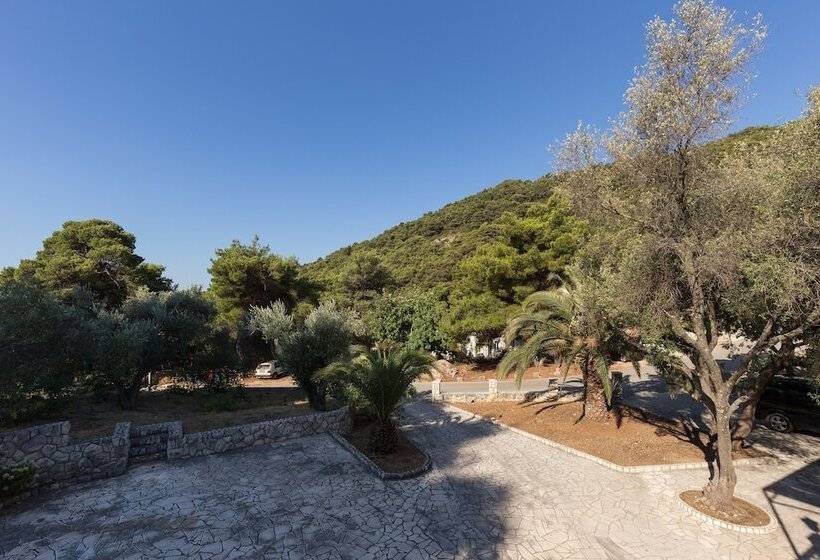 פנסיון Rooms Villa Basica