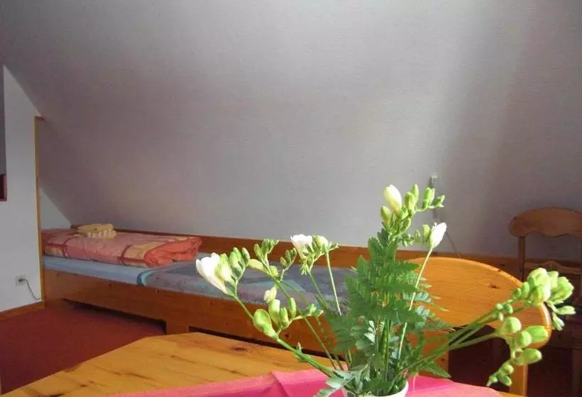 ペンション Gästehaus Kapitän Jan Ricklefs