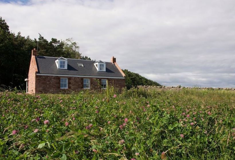 The Woodland Cottage
