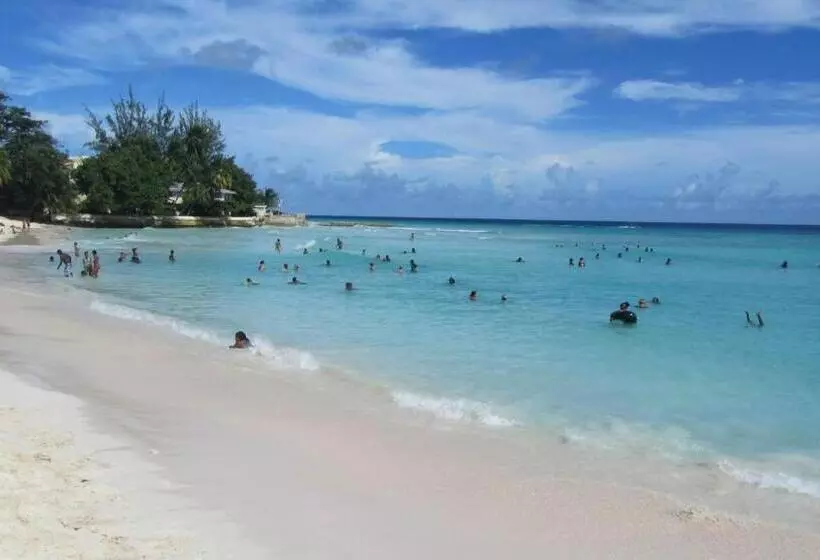 پانسیون Dolphin Inn Guesthouse & Apartments