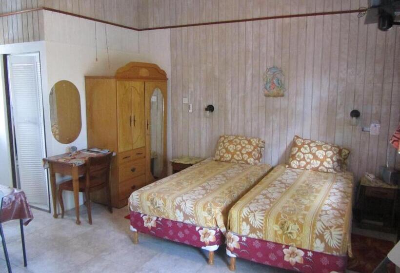 پانسیون Dolphin Inn Guesthouse & Apartments