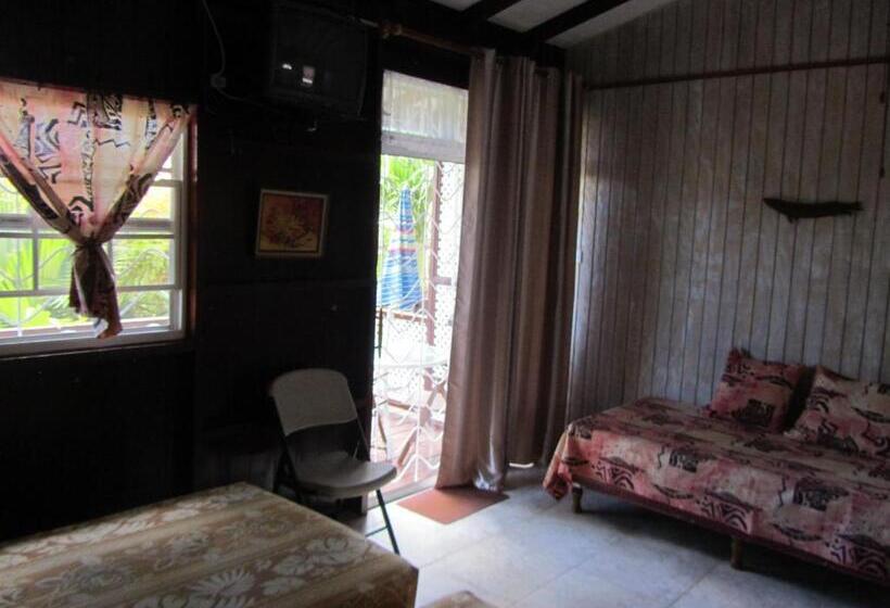 پانسیون Dolphin Inn Guesthouse & Apartments