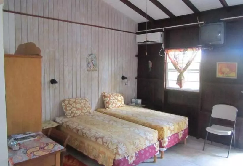 پانسیون Dolphin Inn Guesthouse & Apartments