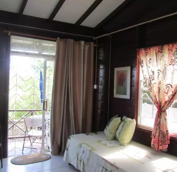 پانسیون Dolphin Inn Guesthouse & Apartments