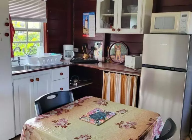 پانسیون Dolphin Inn Guesthouse & Apartments