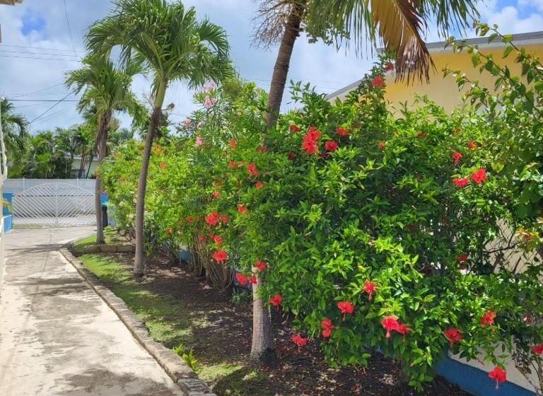 پانسیون Dolphin Inn Guesthouse & Apartments