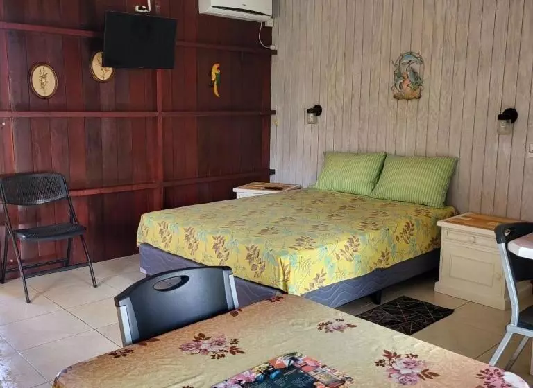 پانسیون Dolphin Inn Guesthouse & Apartments
